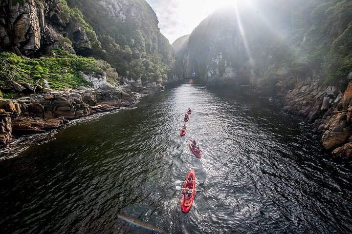 Garden Route (Knysna, Oudsthoorn, - Sightseeing 4 star - Photo 1 of 16